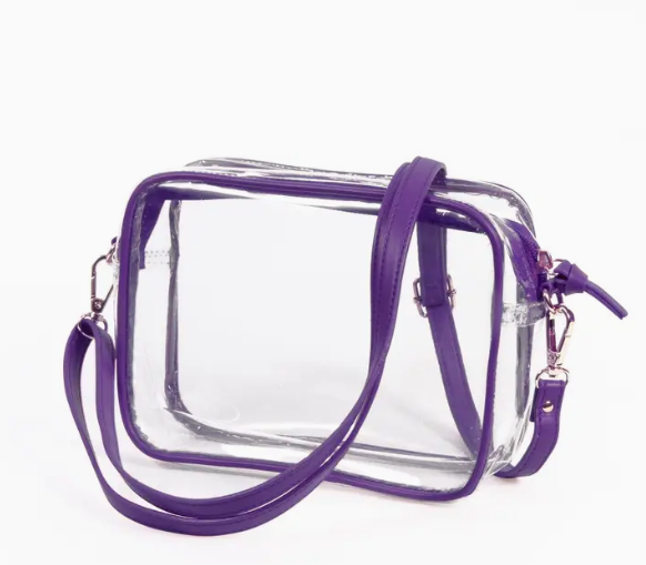 Bridget Clear Purse (Multiple Colors)
