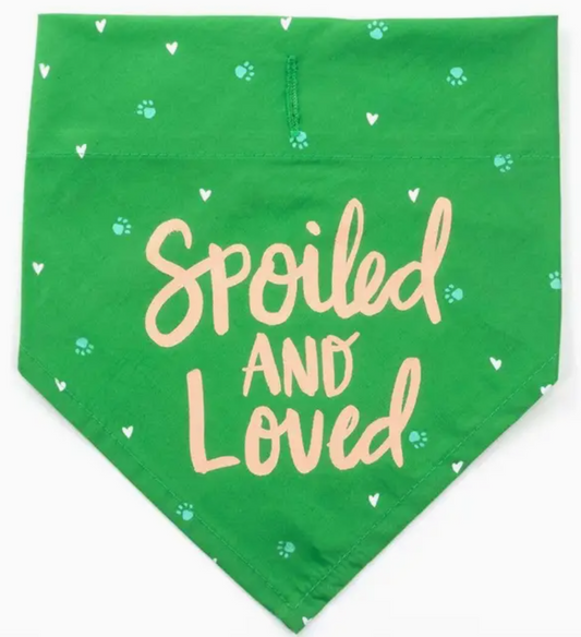 Large/XL Dog Bandana - Green/Pink "Spoiled and Loved"