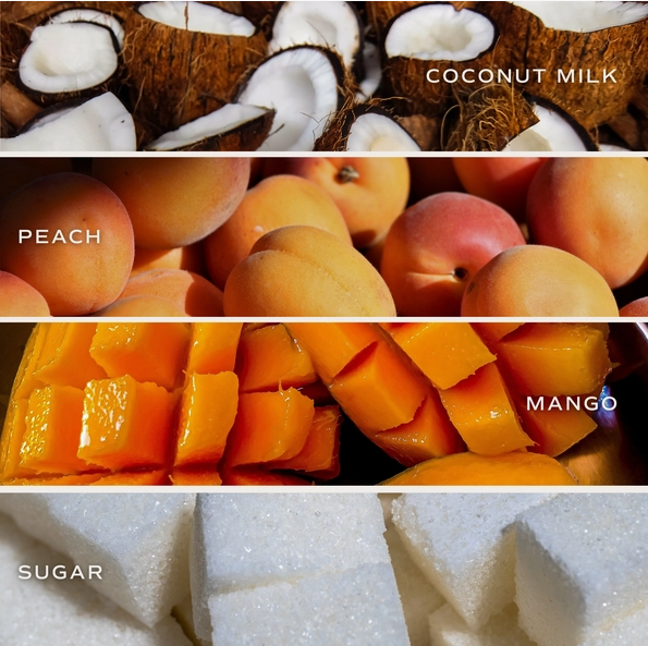 Mango and Coconut Soy Candle - 9 oz