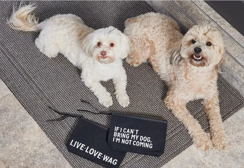 Black Canvas Pouch - Can't Bring My Dog